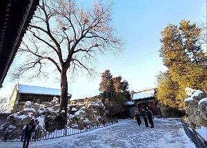 2023 12 PEKIN - PALAIS D ETE (20)